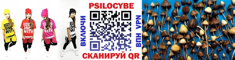 дарнет шоп Алагир Галлюциногенные грибы MAGIC MUSHROOMS
